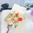 중앙동178 이미지