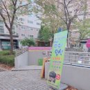 프리지아103 이미지