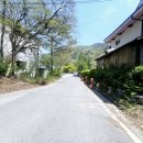 관광특구 진입로 이미지