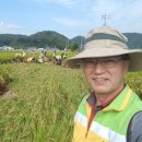 서구 자원봉사센터(9) 이미지