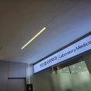 에이스병원 | 안산 에이스병원 후방십자인대파열 타가건 재건술 후기, 입원, 회복, 입원실 식사 기록 등