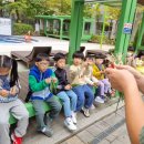 인천보육원 이미지