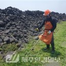 한동환해장성 이미지