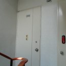 사파동305 이미지