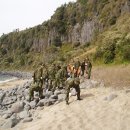 제주 올레길 8코스 이미지