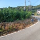 보개원삼로L 네이버블로그