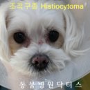 닥터스종합동물병원 이미지