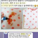 박사세탁 이미지