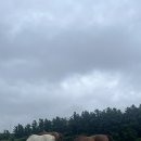 현창목장 이미지