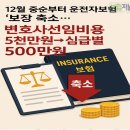 12월 11일부터 운전자보험 ‘보장 축소’… 변호사선임비용 5천만원→심급별 500만원 유력 이미지