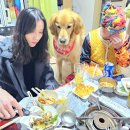 준 라이브 펜션 | 유채꽃필무렵(feat. 4남매가 만났다)