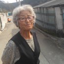 선유1리 이미지