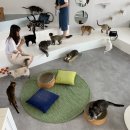 우주로캣 이미지
