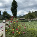 사인암472 이미지