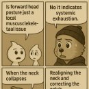 천송헬스케어 이미지