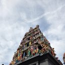 송파구재활용센터 | 12월 4박6일 싱가포르 여행기 2탄 (토스트박스/송파바쿠테/머라이언파크/미스터코코넛/마리나베이쇼핑몰...