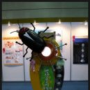 혜경광고