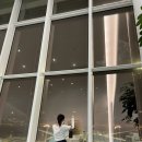 코코넛 족발 닭발 | 방콕 여행 1🇹🇭(이비스 스타일 실롬, 짜런쌩실롬, 운찬 마사지, 두짓타니, 팝마트,두짓 센트럴파크,카오...