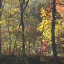 오대산주유소 이미지