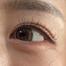 보보스프라자 | 보보스안경 위드렌즈 경기의정부점 에서 “뉴트럴무드 원데이 브라운” 구매