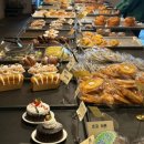 스테이550 이미지