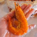 케이준 오토 | 아이랑 하와이 와이키키 맛집 킼인 케이준 호놀룰루에서 해산물 요리 맛있게 먹었어요