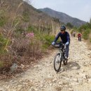 작원관지 이미지