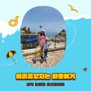 여름방학 가볼만한곳 찾고있다면 바로 여기!!!동해 오션뷰 워터파크, 삼척쏠비치 오션플레이 후기