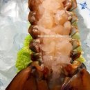 현일수산 | [보령시 바다마트ㆍ청해수산] 이벤트* 블러그 후기 감사합니다. 싱싱한 해산물로 보답하겠습니다...