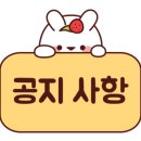 시가82 이미지