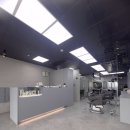 참좋은애견미용실 | 일산 풍동 미용실, 헤어온새 숏컷 매직 후기