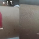 오투엘 이미지