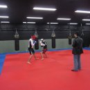 코리안 탑 팀 이미지