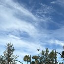 라벤더하우스 이미지