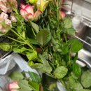 팜팜스토어 이미지