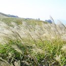 구래약수터 이미지