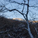 호텔스카이파크제주 이미지