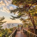 순환로 405번길 네이버블로그