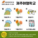제주원데이투어 이미지