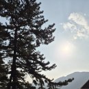 팔색조 펜션 이미지