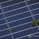 조○○ 태양광발전소 이미지