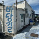 꼬꼬닭하우스 | 제주여행 4