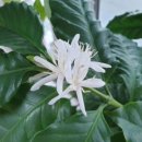 추억속의 이야기 이미지