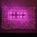 열라왕짬뽕 | 용봉동술집 가성비안주맛집 포차야해 얼큰순두부짬뽕추천