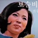 보슬비 오는 거리(성재희) / 김인배 트럼팻 이미지