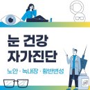 42. 눈 건강 자가진단(노안,녹내장,황반변성) 이미지