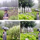 수남농장 이미지