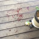 카페 태도 이미지