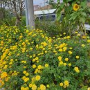 추정3리 이미지