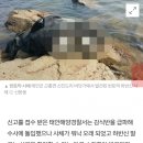 (약혐)어제자 태안 토막살인사건 이미지